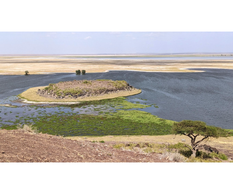 Amboseli National Park