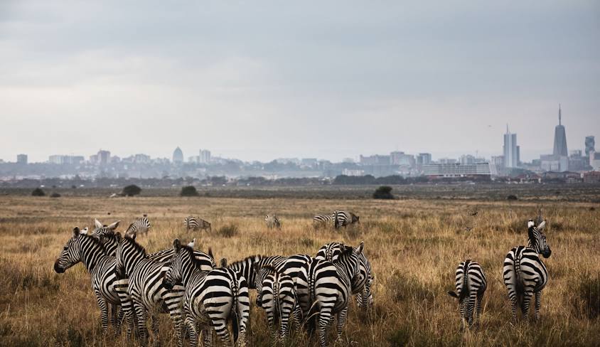 Nairobi National Park